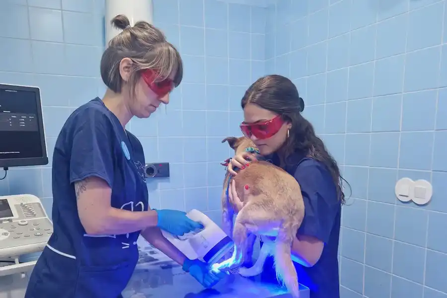 SALA POLIVALENTE 1 copia.jpg