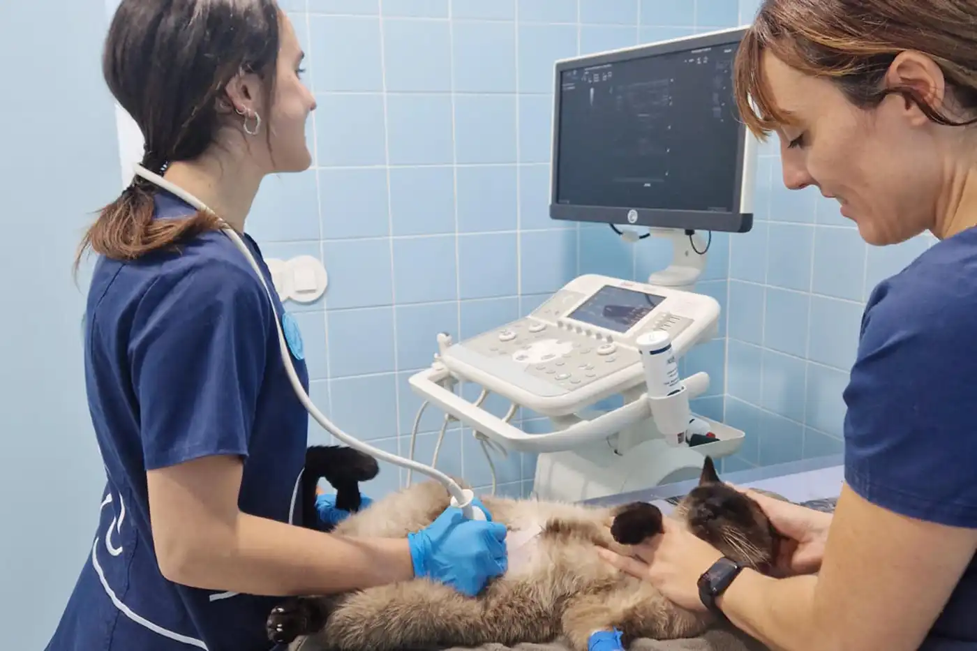 Diagnóstico por imagen (incluye radiología dental)